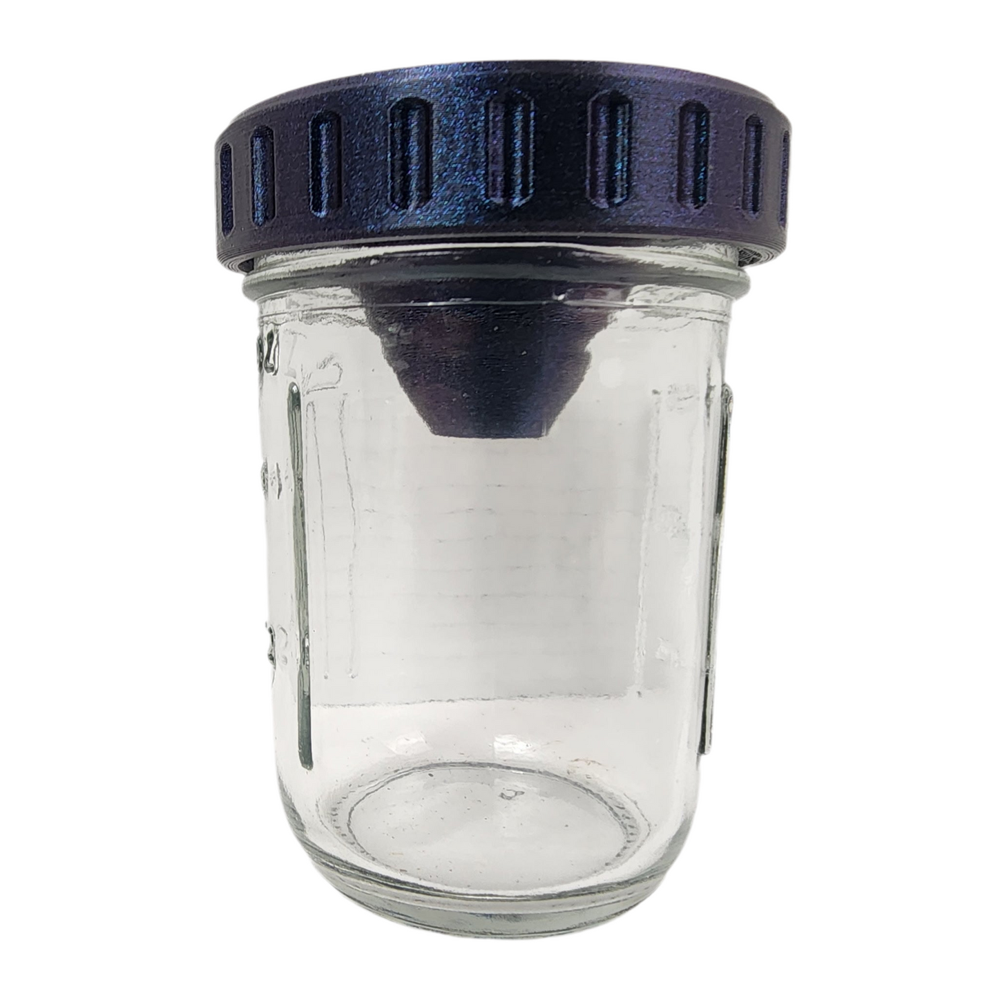 Mason Jar Fly Traps