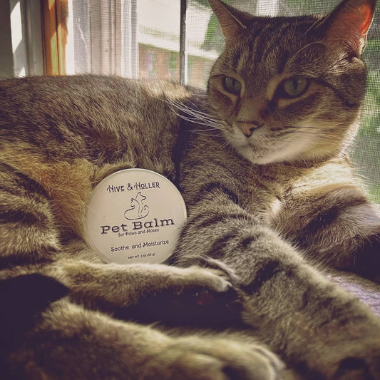 Pet Balm