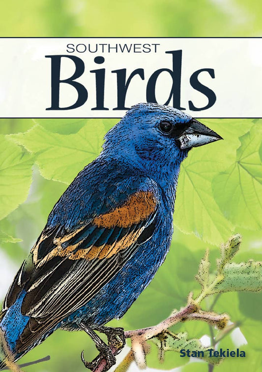 Birds of Southwest Playing Cards